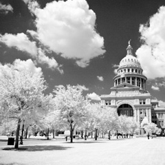 The beautiful grounds of Austin's State Capitol Building